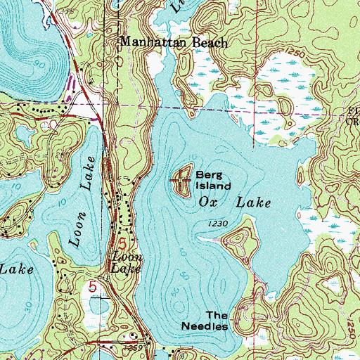 Topographic Map of Berg Island, MN