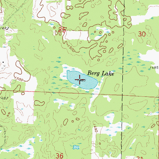 Topographic Map of Berg Lake, MN