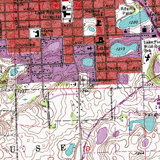 Topographic Map of Bethlehem Cemetery, MN