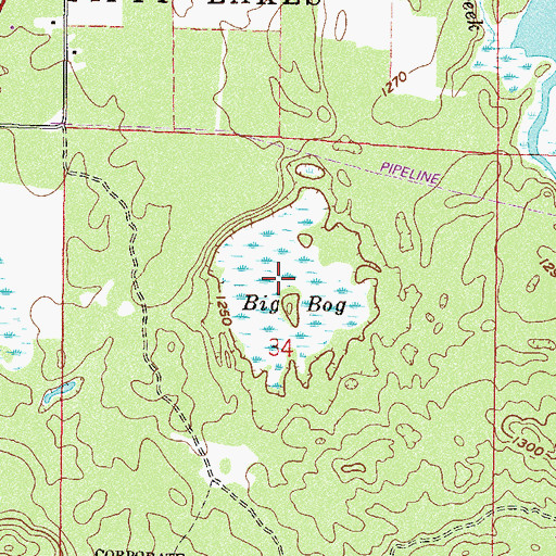 Topographic Map of Big Bog, MN