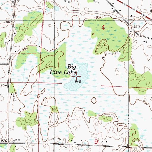 Topographic Map of Big Pine Lake, MN