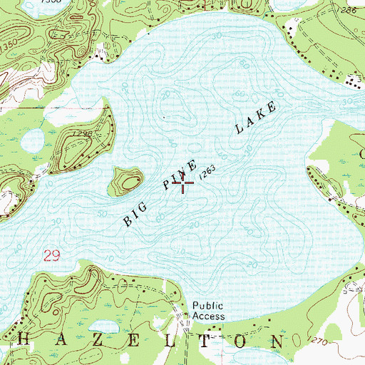 Topographic Map of Big Pine Lake, MN