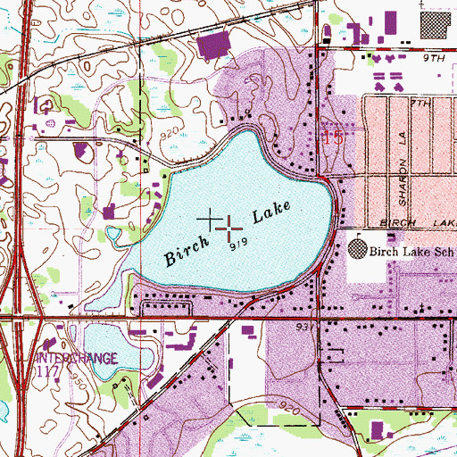 Topographic Map of Birch Lake, MN