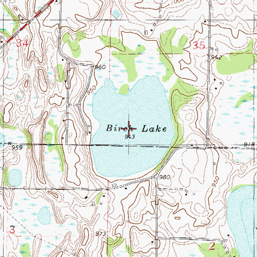 Topographic Map of Birch Lake, MN