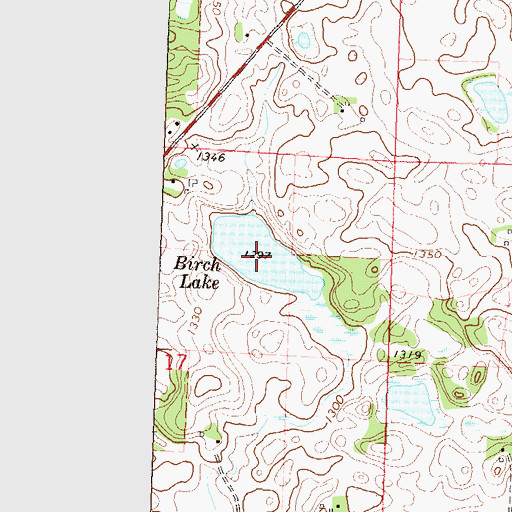 Topographic Map of Birch Lake, MN