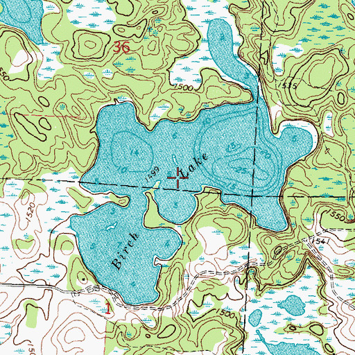 Topographic Map of Birch Lake, MN