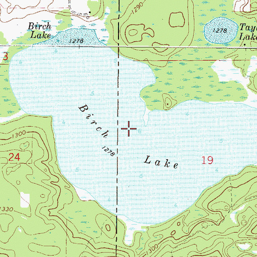 Topographic Map of Birch Lake, MN
