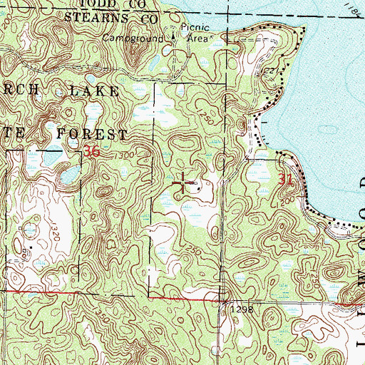 Topographic Map of Birch Lakes State Forest, MN