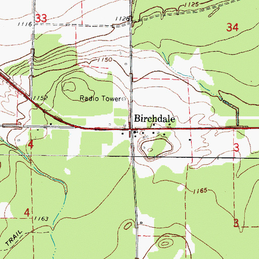 Topographic Map of Birchdale, MN