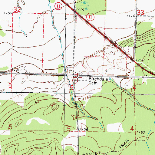 Topographic Map of Birchdale Cemetery, MN