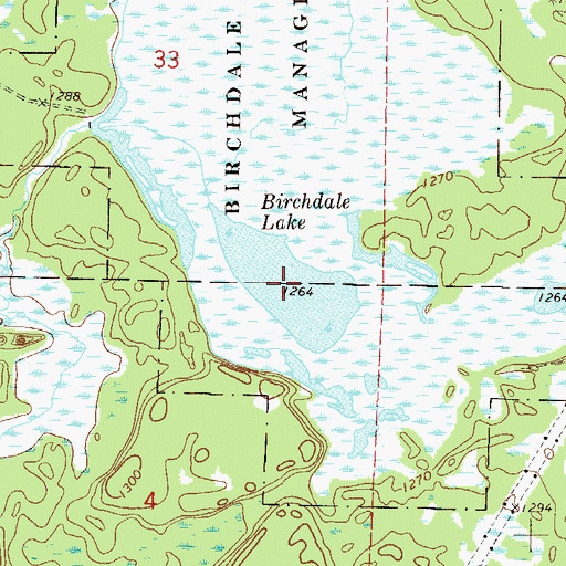 Topographic Map of Birchdale Lake, MN