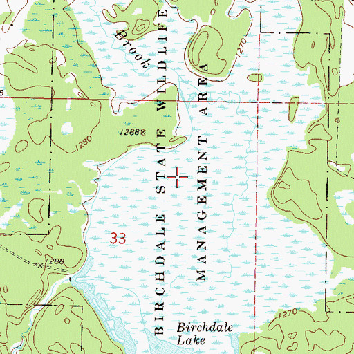 Topographic Map of Birchdale State Wildlife Management Area, MN