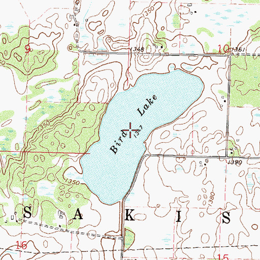 Topographic Map of Bird Lake, MN