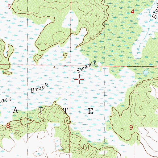 Topographic Map of Black Brook Swamp, MN