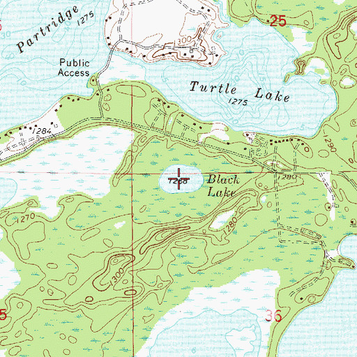 Topographic Map of Black Lake, MN