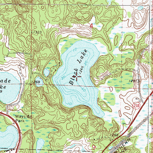 Topographic Map of Black Lake, MN