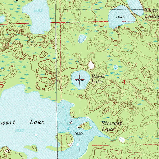 Topographic Map of Black Lake, MN