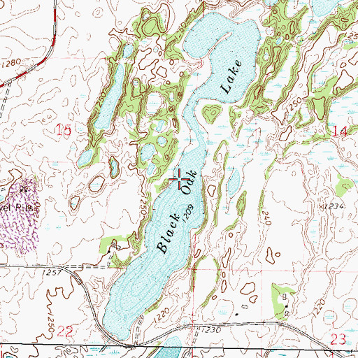 Topographic Map of Black Oak Lake, MN