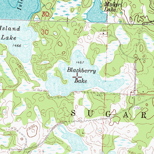 Topographic Map of Blackberry Lake, MN