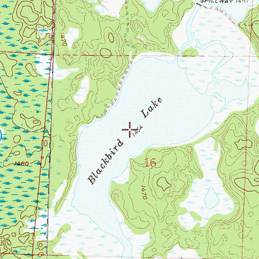 Topographic Map of Blackbird Lake, MN