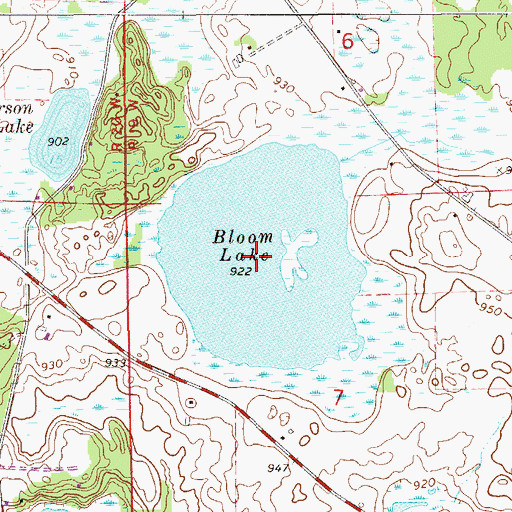 Topographic Map of Bloom Lake, MN