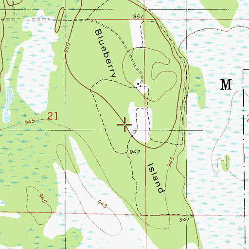Topographic Map of Blueberry Island, MN