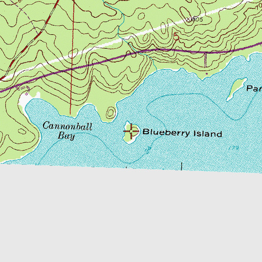Topographic Map of Blueberry Island, MN