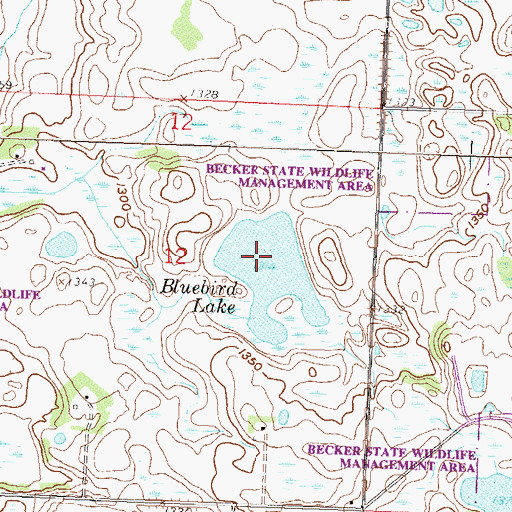 Topographic Map of Bluebird Lake, MN