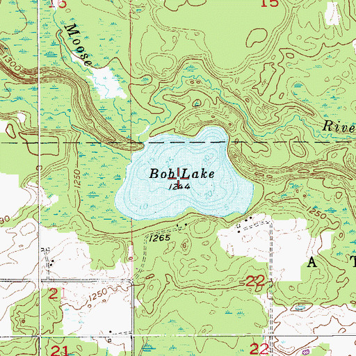 Topographic Map of Bob Lake, MN