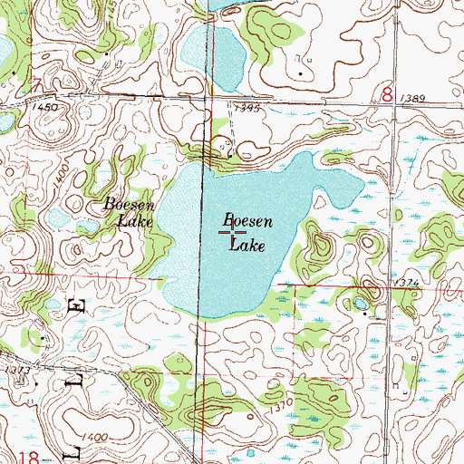 Topographic Map of Boesen Lake, MN