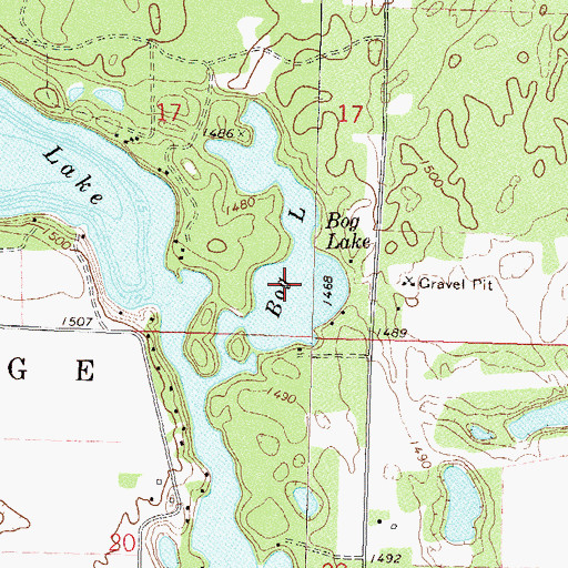 Topographic Map of Bog Lake, MN