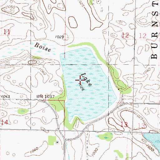 Topographic Map of Boise Lake, MN
