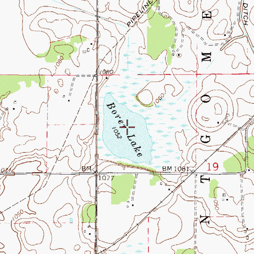 Topographic Map of Borer Lake, MN