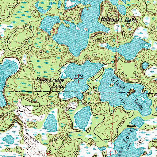 Topographic Map of Bow-Dodge Lake, MN