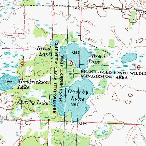 Topographic Map of Brandsvold State Wildlife Management Area, MN