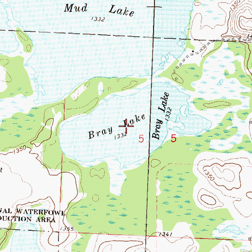 Topographic Map of Bray Lake, MN