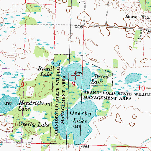 Topographic Map of Breed Lake, MN