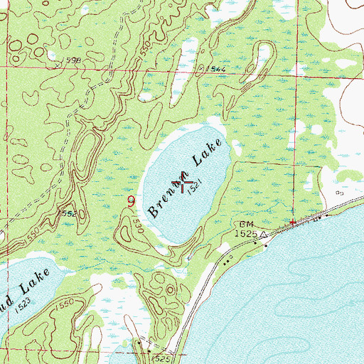 Topographic Map of Brenum Lake, MN
