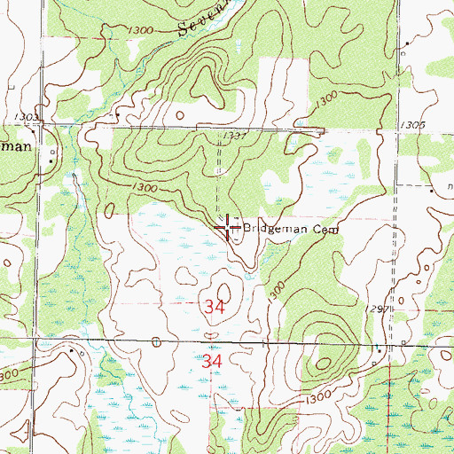 Topographic Map of Bridgeman Cemetery, MN