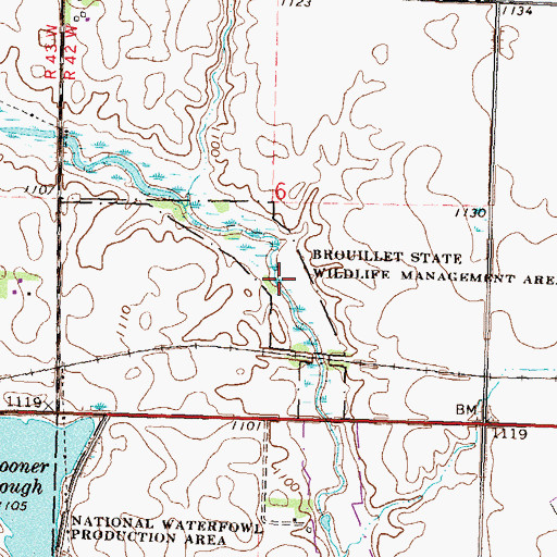 Topographic Map of Brouillet State Wildlife Management Area, MN