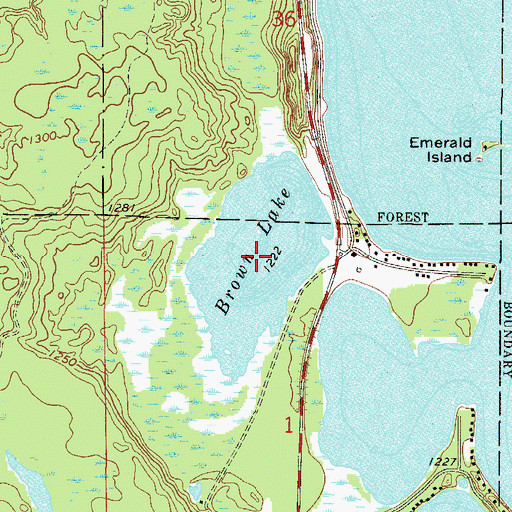 Topographic Map of Brown Lake, MN