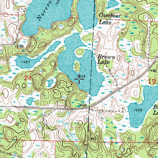 Topographic Map of Brown Lake, MN
