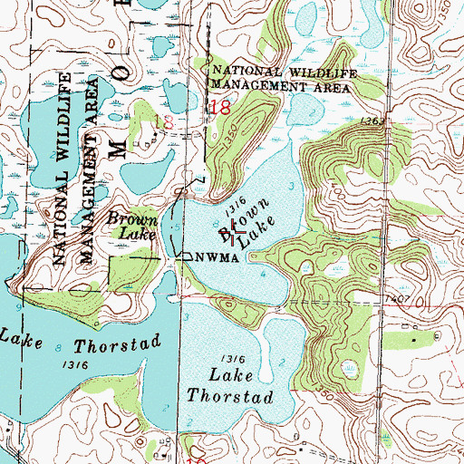 Topographic Map of Brown Lake, MN