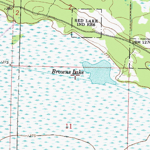 Topographic Map of Browns Lake, MN