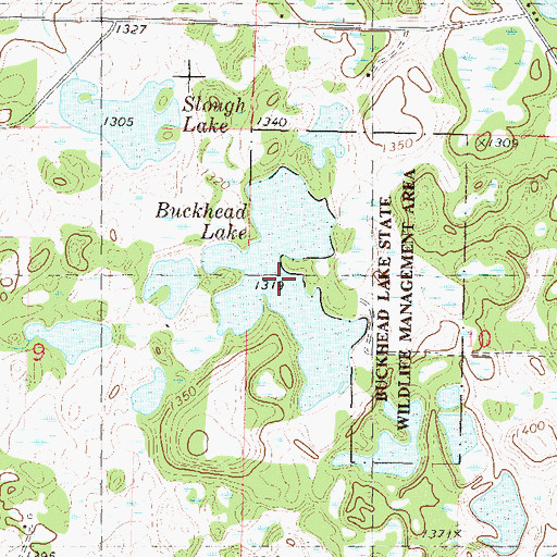 Topographic Map of Buckhead Lake, MN
