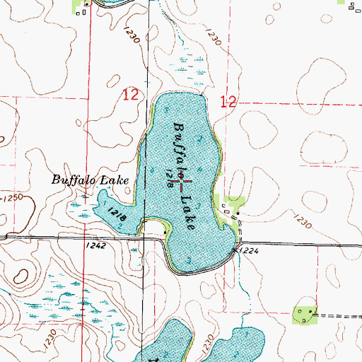 Topographic Map of Buffalo Lake, MN