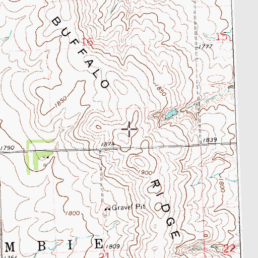 Topographic Map of Buffalo Ridge, MN
