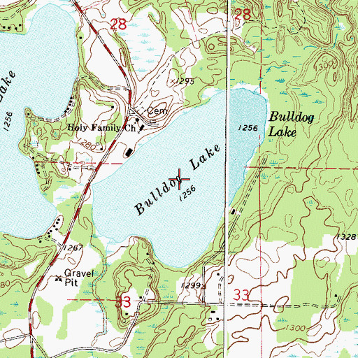 Topographic Map of Bulldog Lake, MN