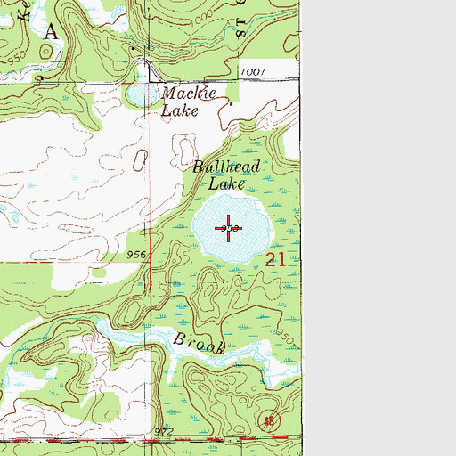 Topographic Map of Bullhead Lake, MN