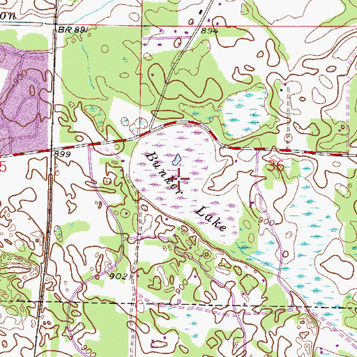 Topographic Map of Bunker Lake, MN
